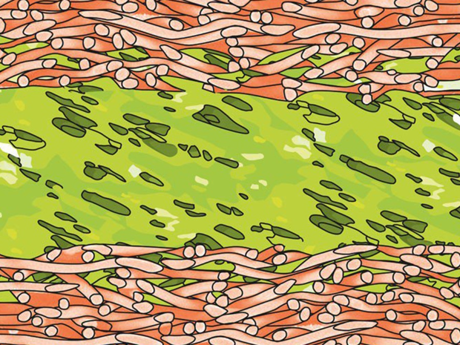 Kontaktní třívrstvá difúzně otevřená fólie Gutta Fólie Guttafol DO 165 S