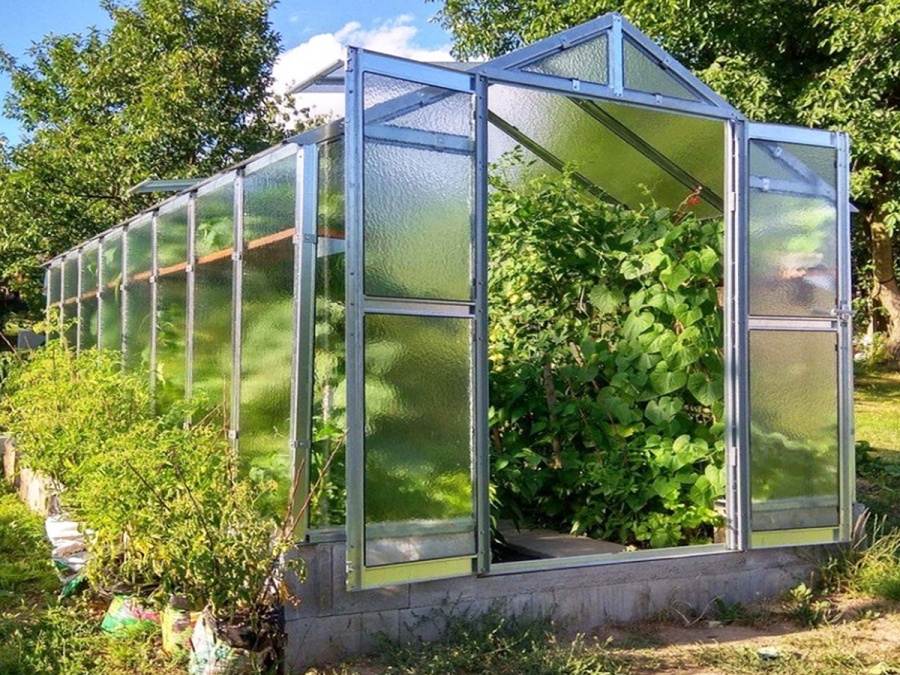 Skleník Limes Variant