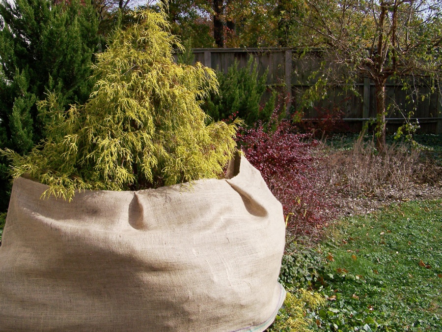 Kompletní průvodce zazimováním zahrady