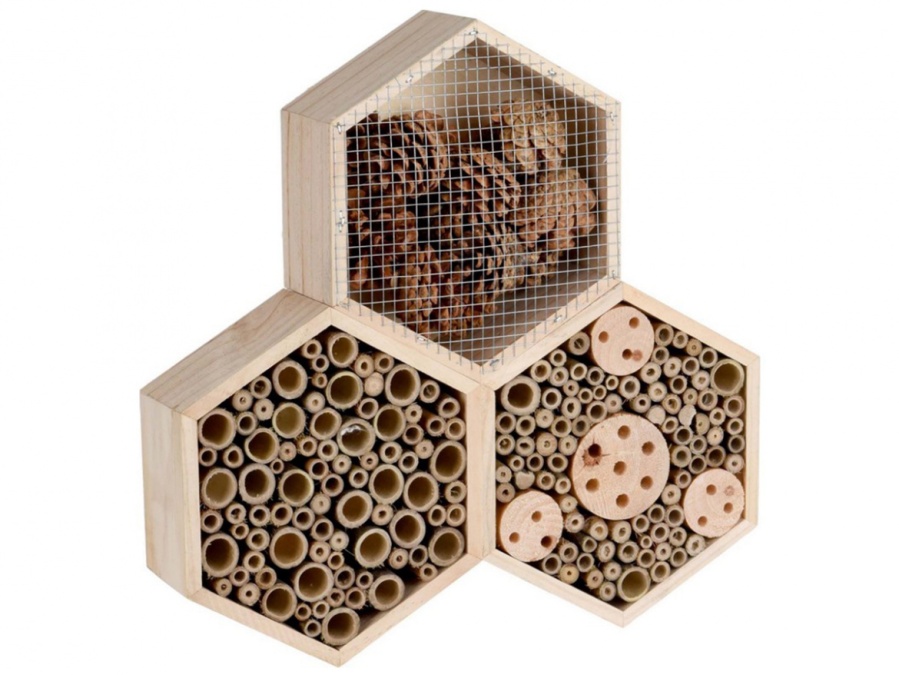 O hmyzím hoteliérství