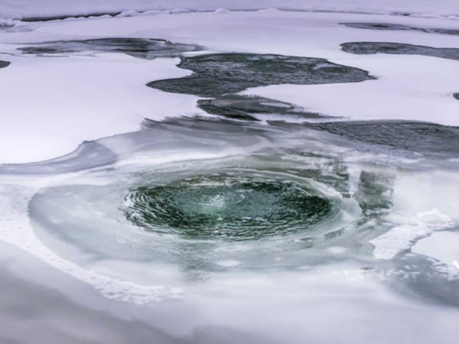 Kompletný sprievodca zazimovaním záhrady