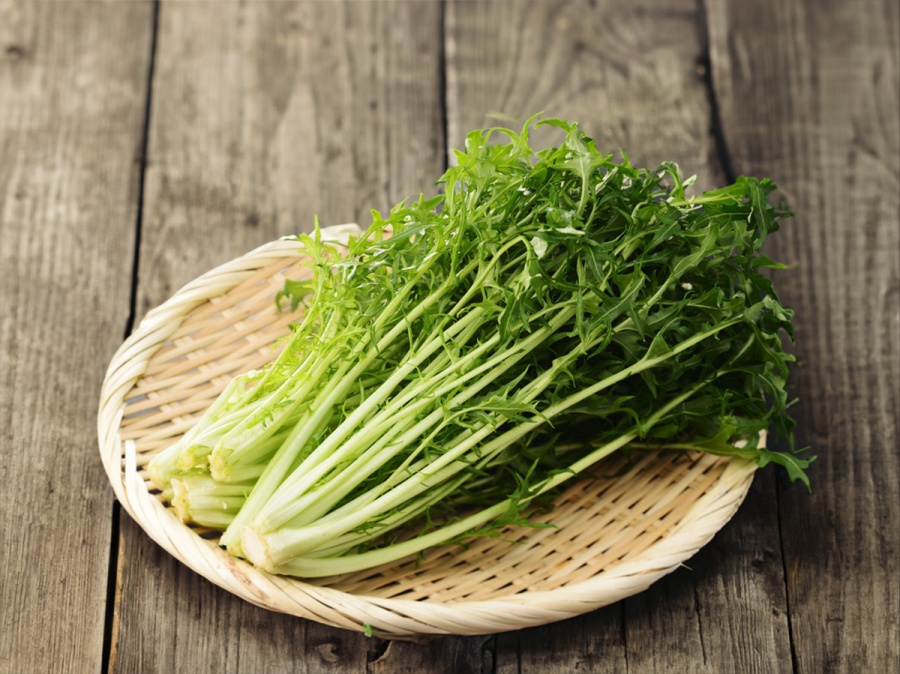 Zima? Nevadí! Co pěstovat ve skleníku na podzim?