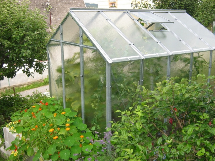 Skleník Limes Hobby