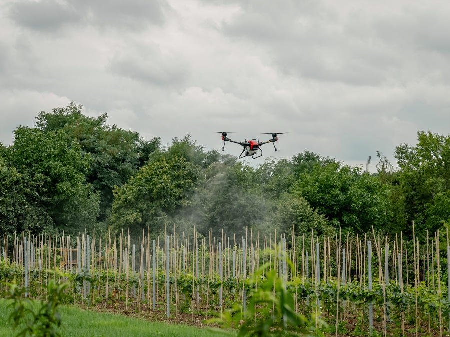 Náš autonomní skleník na hortibotickém dni