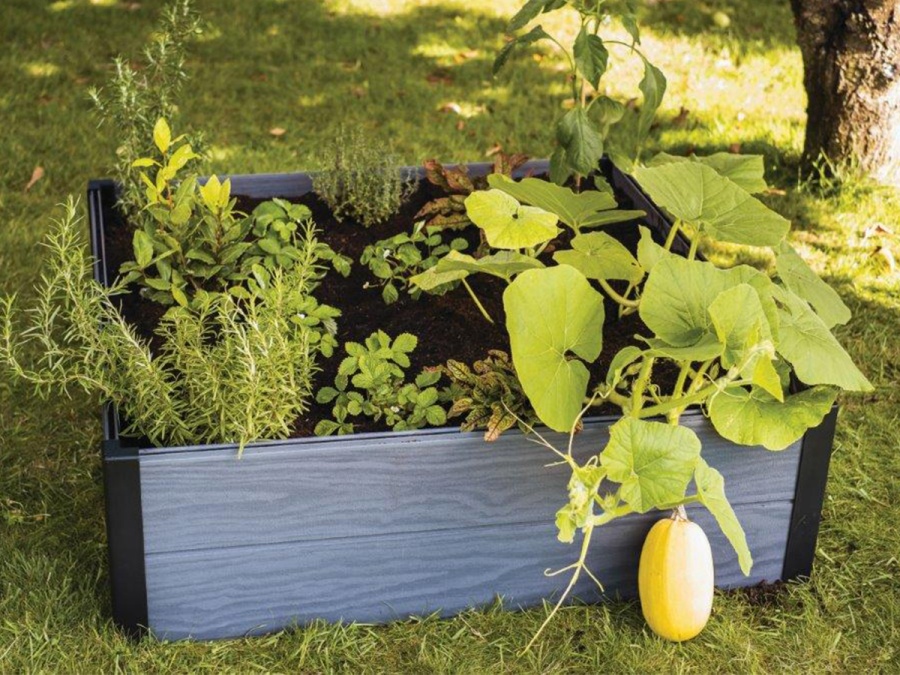 Kvetináč grafitový vyvýšený Keter Vyvýšený záhon Maple square