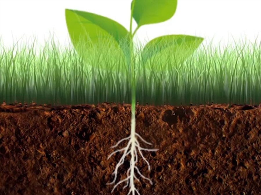 R1-2 Tornadica Kultivátor