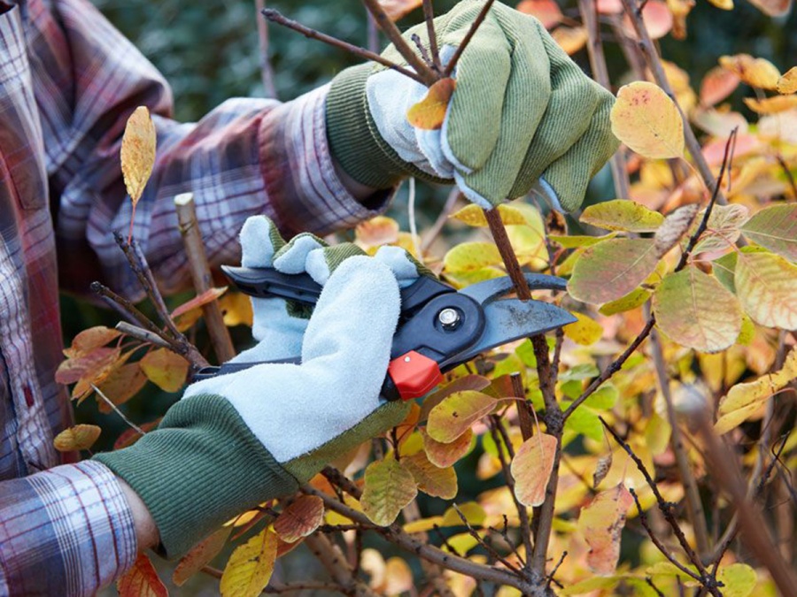 Kompletný sprievodca zazimovaním záhrady