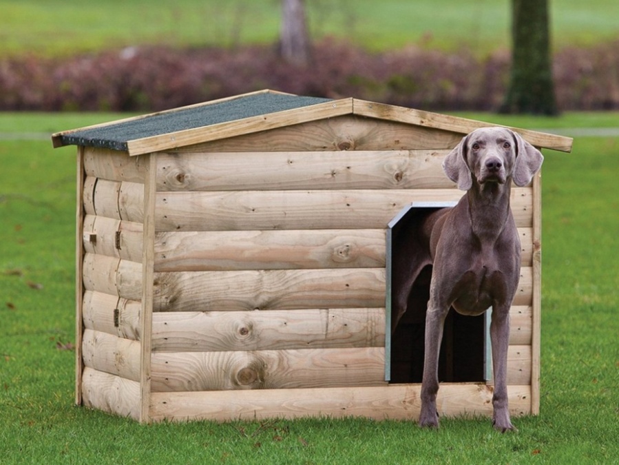 Darčeková poukážka Buildex