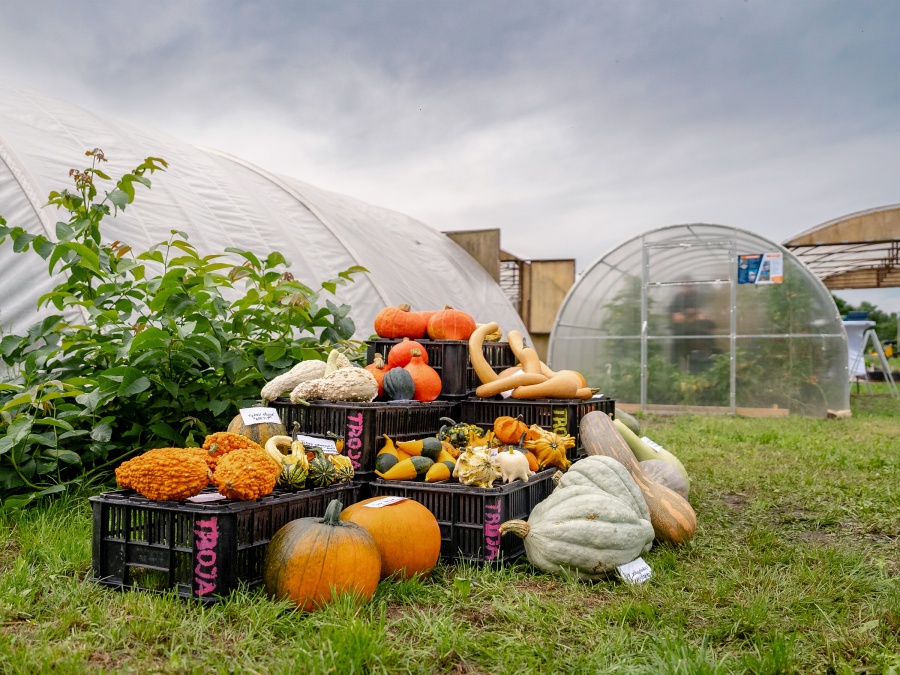 Náš autonomní skleník na hortibotickém dni