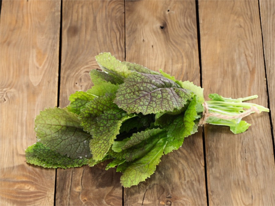 Zima? Nevadí! Co pěstovat ve skleníku na podzim?