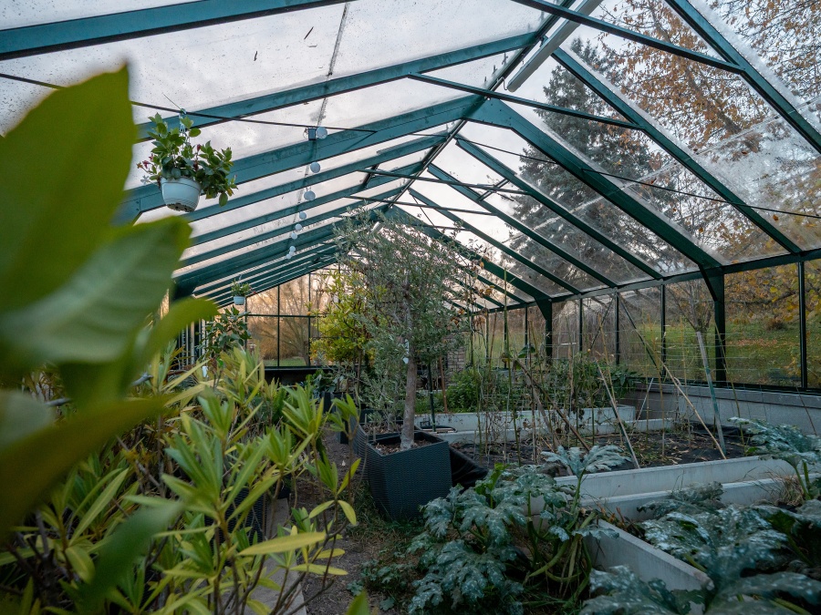 Největší skleník, co jsme postavili