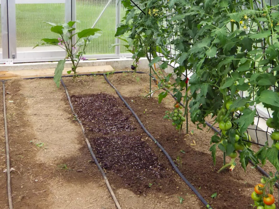 Zavlažovací hadice Bradas Aqua-Drop