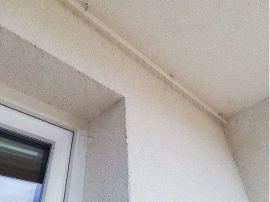 Stop hnízdům Gutta