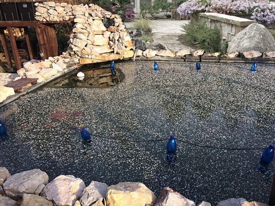 Kompletní průvodce zazimováním zahrady