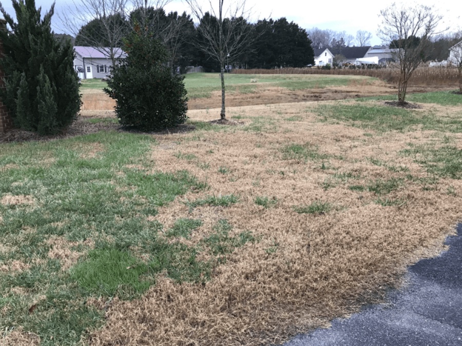 Kompletní průvodce zazimováním zahrady